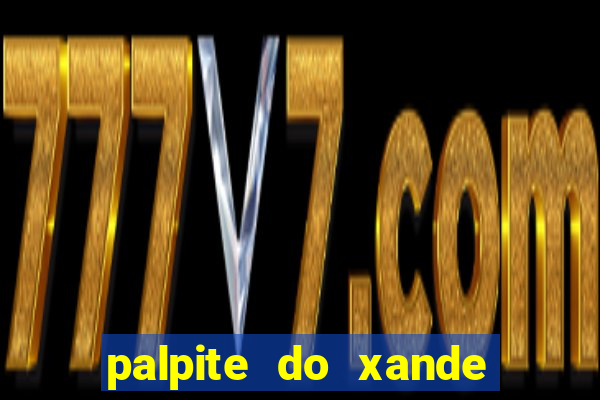 palpite do xande de hoje