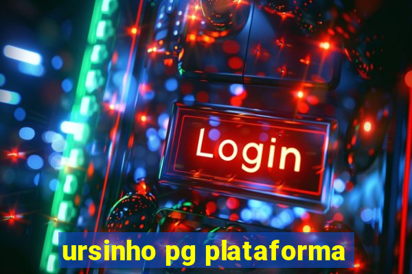 ursinho pg plataforma