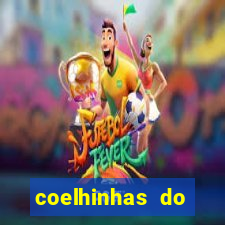 coelhinhas do brasil recife