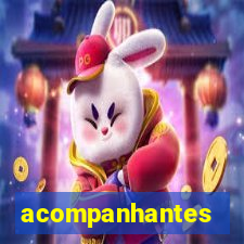 acompanhantes chamada de video