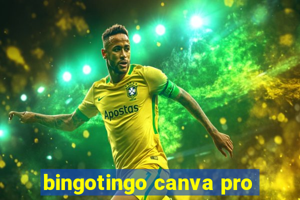 bingotingo canva pro