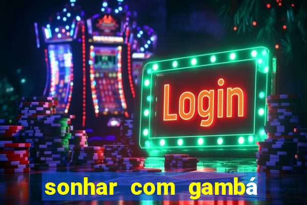 sonhar com gambá jogo do bicho