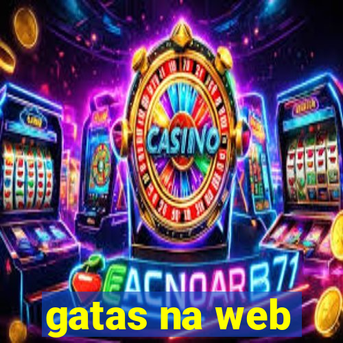 gatas na web