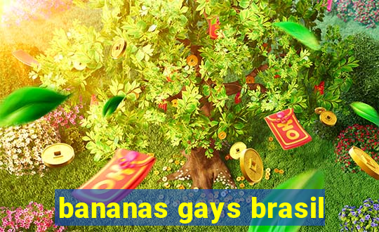 bananas gays brasil