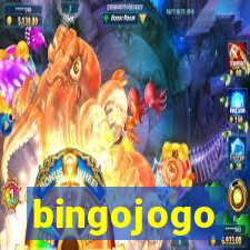 bingojogo