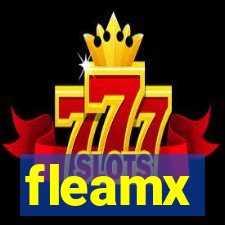 fleamx